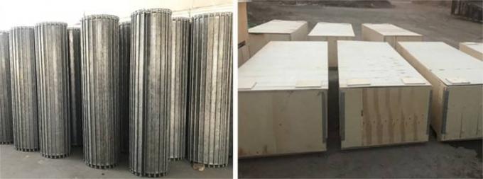 Γαλβανισμένο αρθρωμένο πέταλο δίκτυο καλωδίων ζωνών μεταφορέων ανοξείδωτου 8