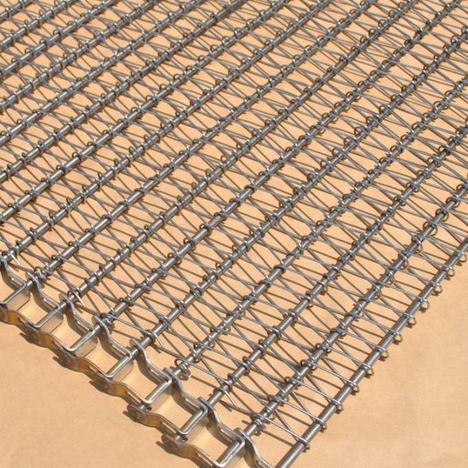 Προσαρμοσμένη αλυσίδα ζωνών μεταφορέων σοκολάτας φρούτων αντίστασης διάβρωσης Drive 1