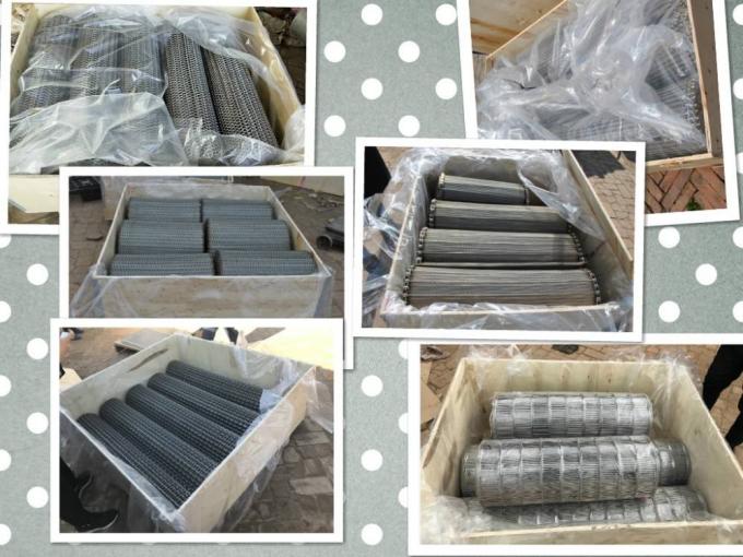 SUS316L φορητό καλώδιο πλέγματος επεξεργασίας ζωνών μεταφορέων ανοξείδωτου 6